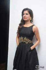 Samantha Interview About Son Of Sathyamurthy Movie